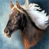 Run With The Wind - Acrylic On Canvas Paintings - By Sue Lamarr Kramer, Realistic Painting Artist